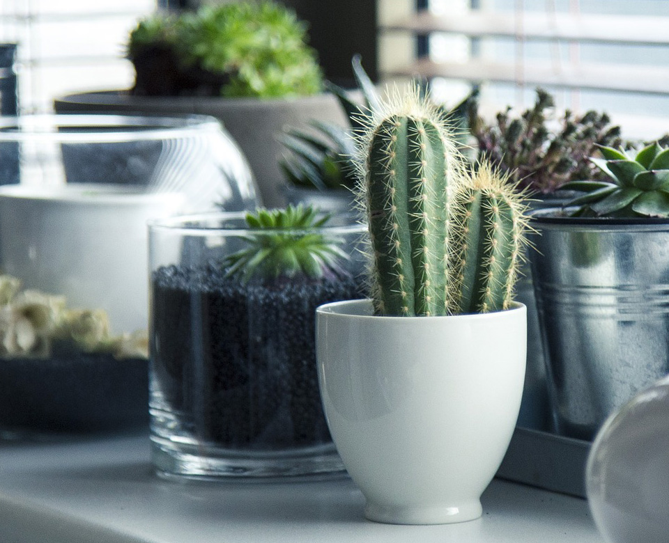 �m�������b������޹�˾������2017�꣬��һ�Ҿ߂���b�Y�|(zh��)���Լ��b�������㹤�b�ľC�����b�˾����(zhu��n)ע�ڞ����(hu��)��Ӣ�A���ṩ���ЙC(j��)���wסլ�b���Q�������γɪ�(d��)�صĺ��wסլ�b��O(sh��)Ӌ(j��)��ʩ�������Ĵ������ԠI(y��ng)ľ���a(ch��n)Ʒ...